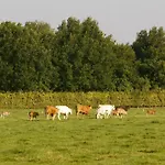 Schaelsbergerbosch - Fireplace & Sauna Prázdninový dům Bemelen