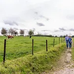 Schaelsbergerbosch - Fireplace & Sauna