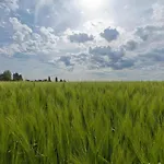 Schaelsbergerbosch - Fireplace & Sauna Prázdninový dům *