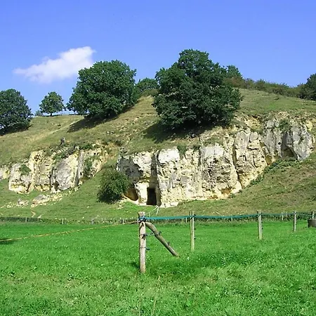 Schaelsbergerbosch - Fireplace & Sauna