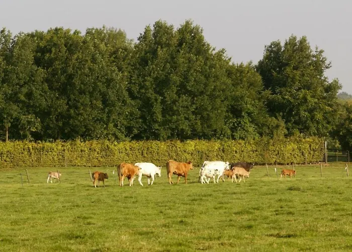 In Salzburg Near Slopes Дом отдыха Bemelen