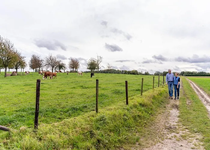 In Salzburg Near Slopes