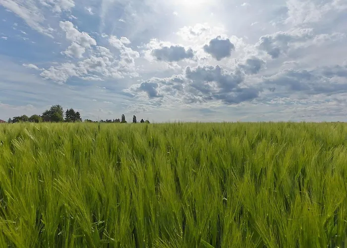 In Salzburg Near Slopes Дом отдыха *