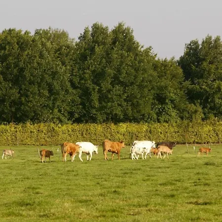 In Salzburg Near Slopes Feriehus Bemelen