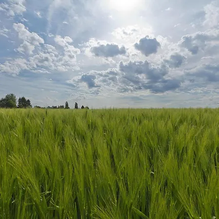 In Salzburg Near Slopes 別荘 *