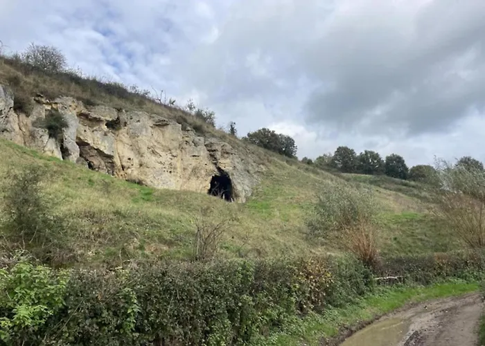 In Salzburg Near Slopes Feriehus