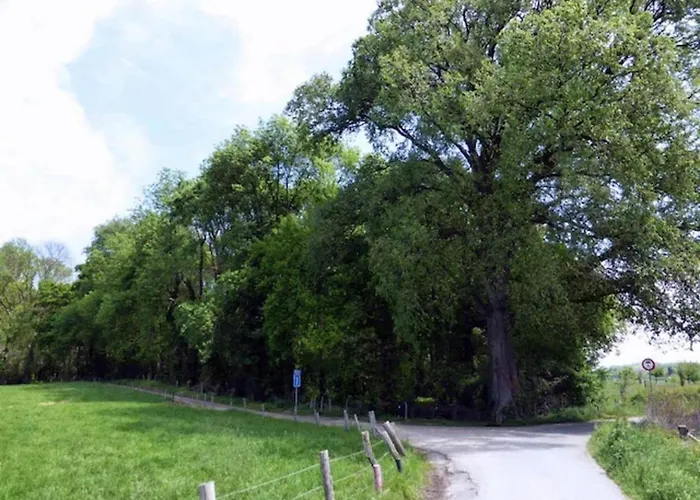 In Salzburg Near Slopes Feriehus